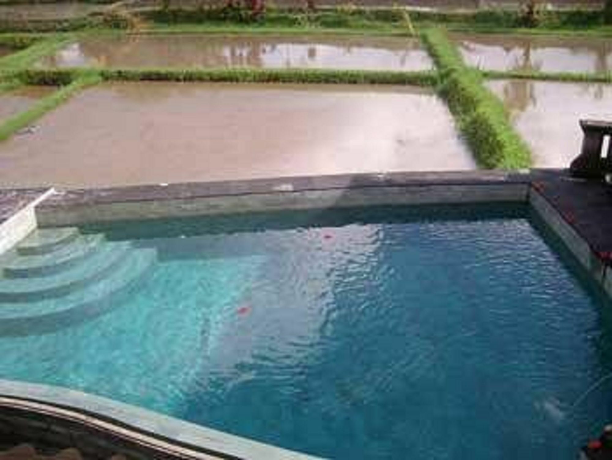 Ala'S Green Lagoon Убуд Экстерьер фото